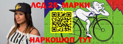 гидропоника Владимир