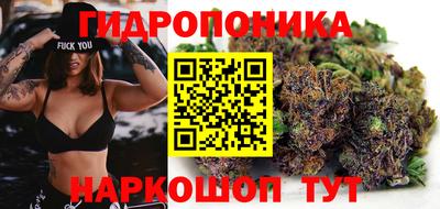 ECSTASY Владикавказ