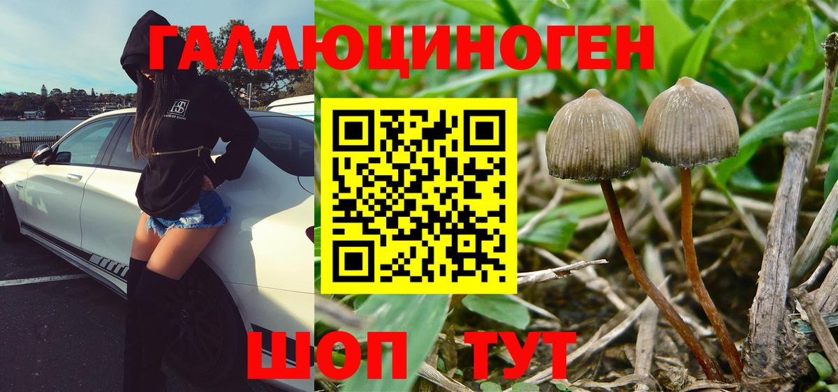 Галлюциногенные грибы прущие грибы  Галлюциногенные грибы Cubensis  Владикавказ  что такое наркотик  Вход с VPN 