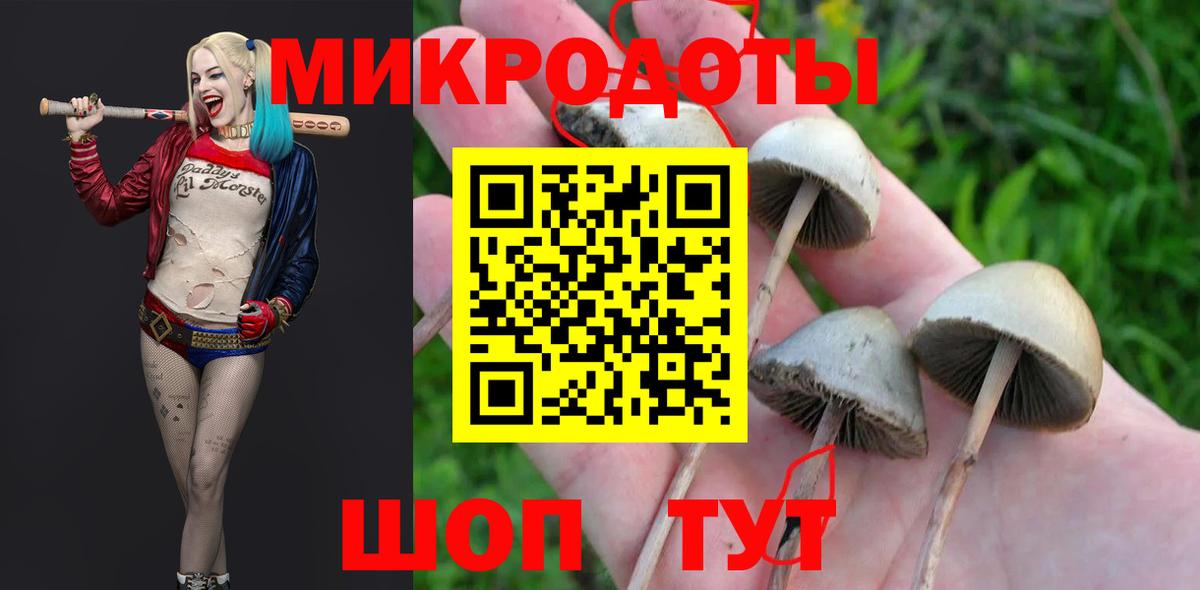 Галлюциногенные грибы Cubensis Владикавказ